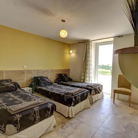 De Luxe Avec Spa, Piscine Et Sauna, Animaux Admis A - Fr-1-496-274 Holiday home Pinay