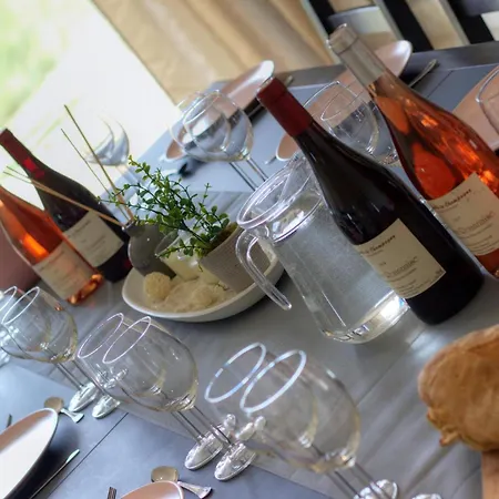 Séjour à la campagne Spacieux Avec Spa, Sauna Et Animaux Acceptés - Fr-1-496-274 *