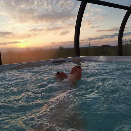 Spacieux Avec Spa, Sauna Et Animaux Acceptés - Fr-1-496-274 *